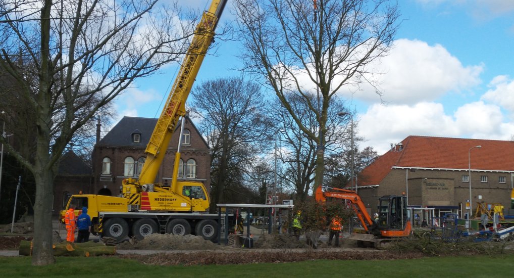 Bomen Oostlaan verplaatst.