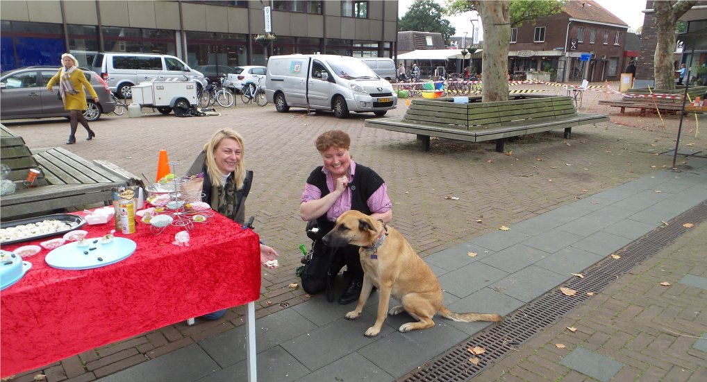 Dierendagmarkt Raadhuisplein.