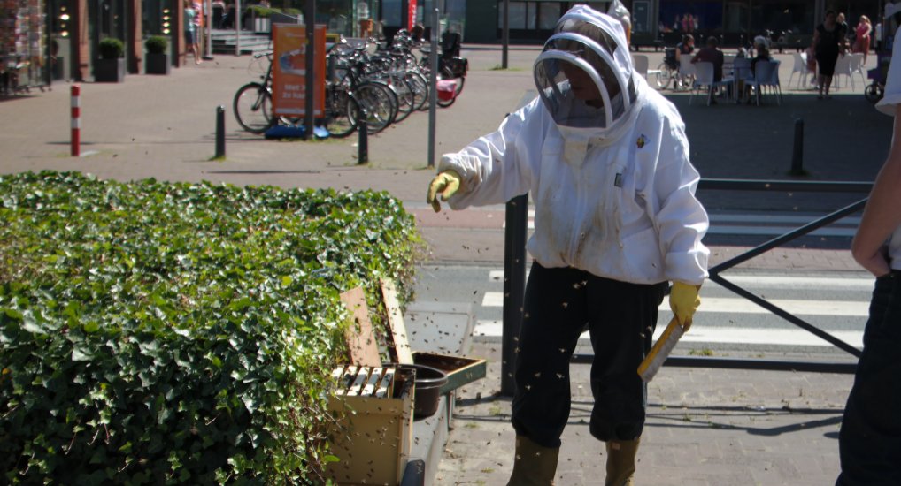 Koningin strijkt neer in het centrum.