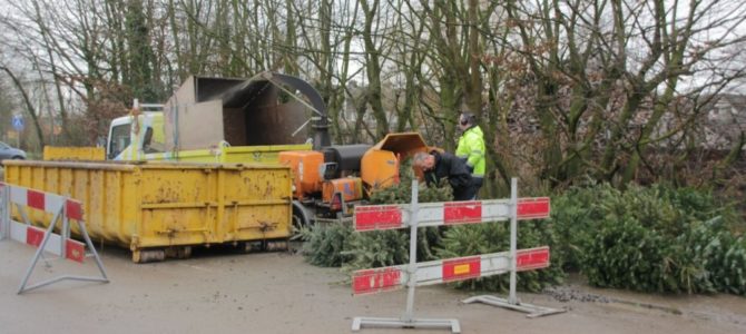 Massaal kerstbomen ingeleverd. Massaal kerstbomen ingeleverd.