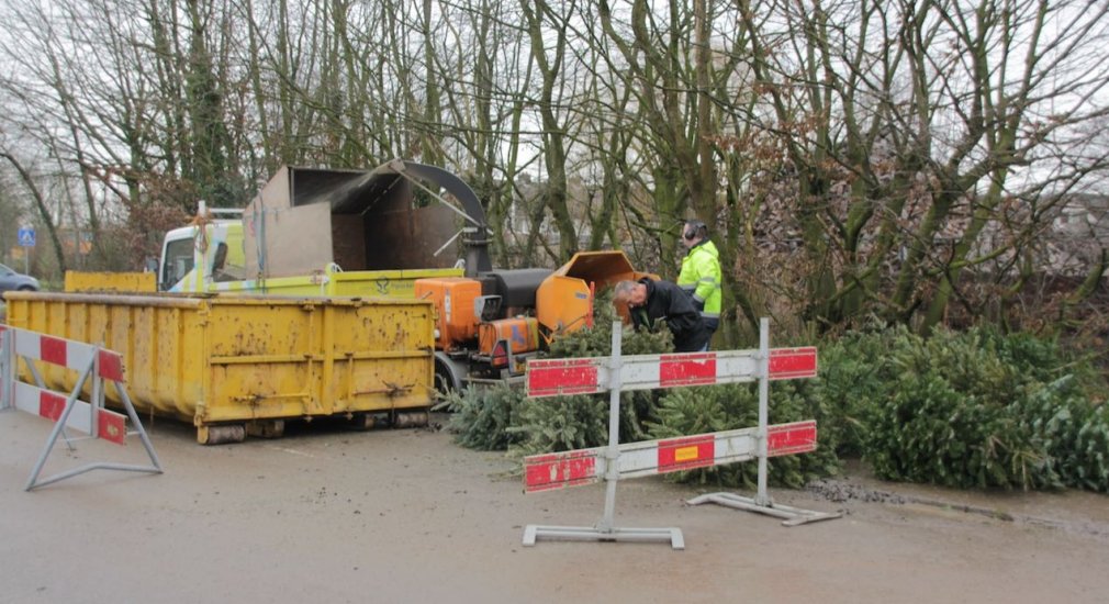 Massaal kerstbomen ingeleverd.