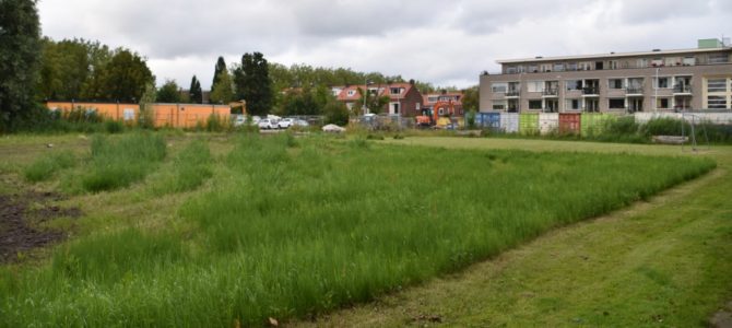 Ouderen naar Meidoornlaan. Ouderen naar Meidoornlaan.