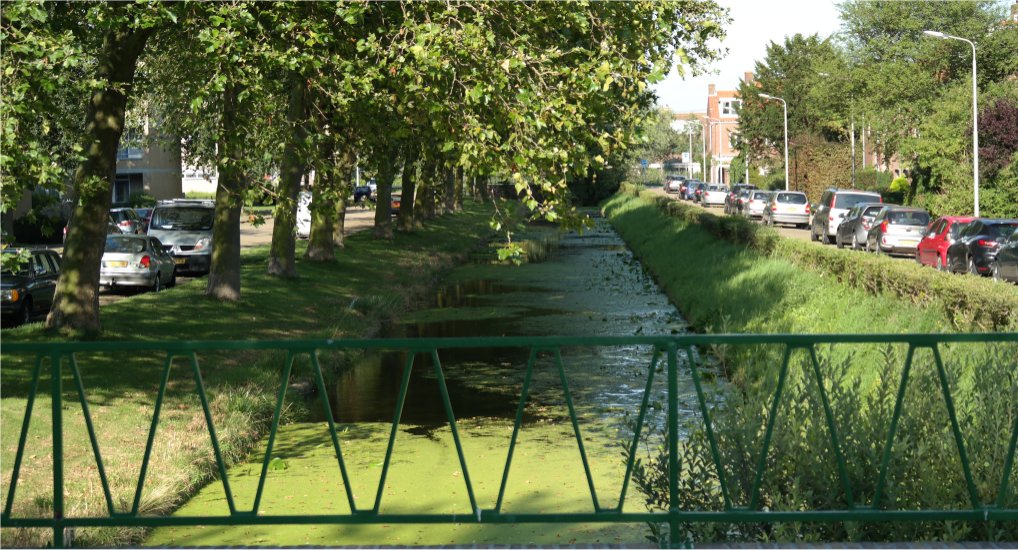 Verkeersstremming en omleidingen Heesterbuurt.