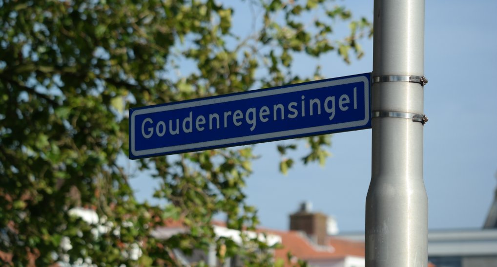 Spoedreparatie Goudenregensingel.