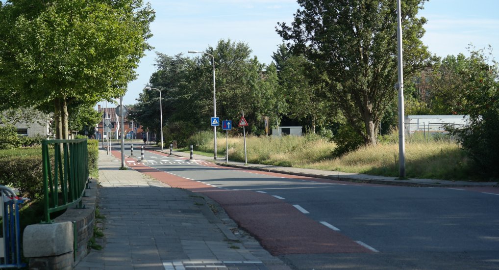 Bomenkap op Meidoornlaan en Noordweg.