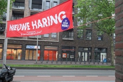 19-06-2013_nw_haring